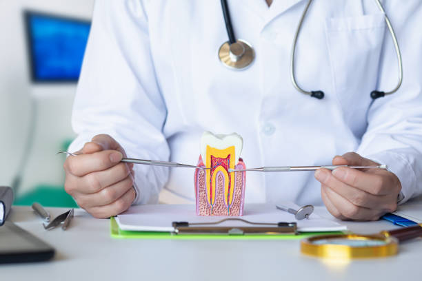 Best Pediatric Emergency Dentist in La Homa, TX